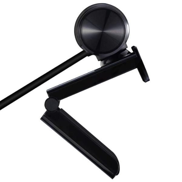 Avermedia webcam Live Streamer 313