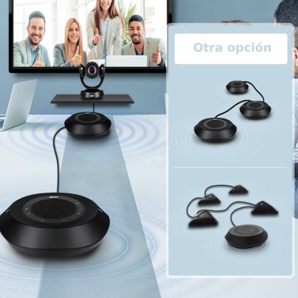 Coppia di microfoni aggiuntivi per Aver VC520 Pro