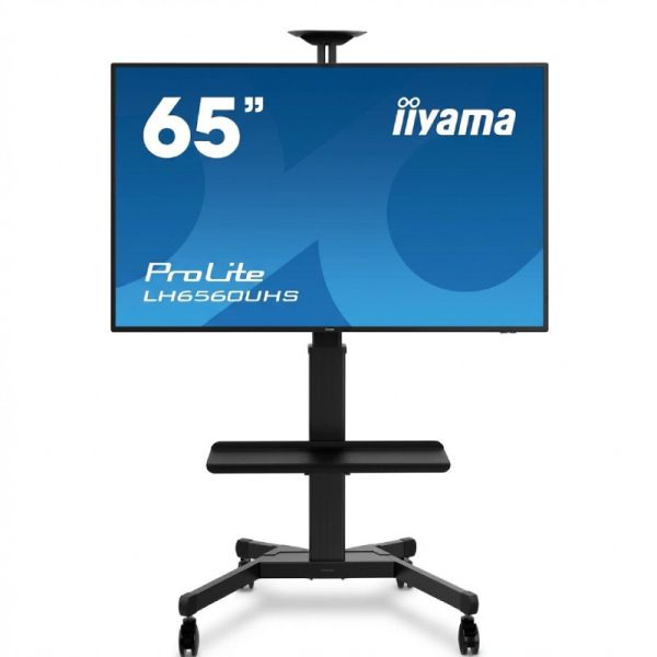 Pack iiyama ProLite LH6560UHS-B2AG 65'' + Vision VFM-F22