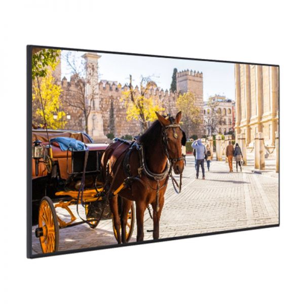 Monitor professionale Kimex 55''