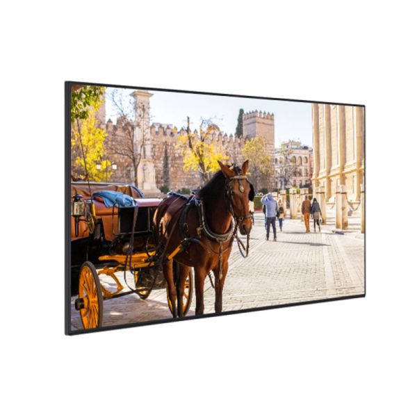 Monitor Profesionale Kimex  43''