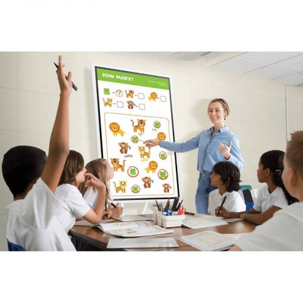 Samsung Flip 4 55'' + supporto