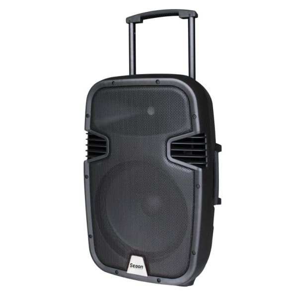 Cassa e microfoni Segon Runner 15
