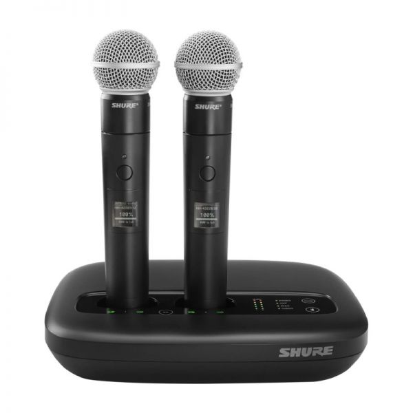 Shure MXW2X/SM58