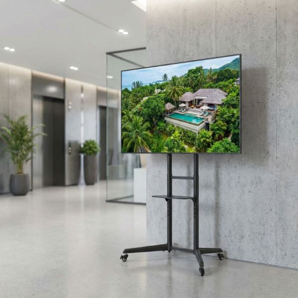 Pacchetto Samsung QMC 55