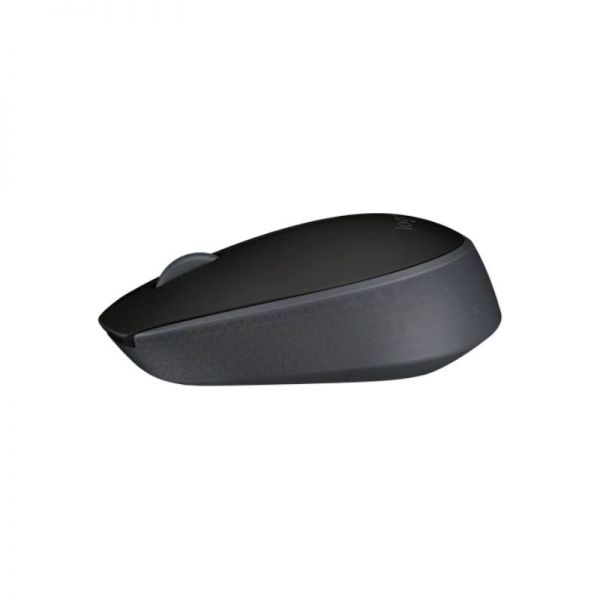 Mouse Logitech M171
