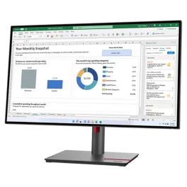 Lenovo ThinkVision P27h USB C QHD Monitor