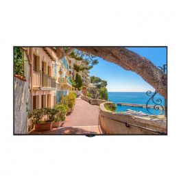 Monitor professionale Kimex 65'' 