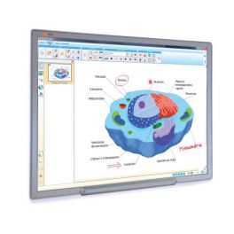 Lavagna digitale Interattiva MultiClass 78 