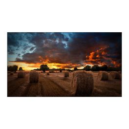 Samsung VM55B-U Videowall | Monitor 55"