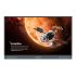 BenQ Board Pro RP6504