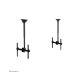 Neomounts Flat Screen Ceiling Mount (32-60")