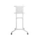 Neomounts NS-M1250WHITE Supporto da pavimento