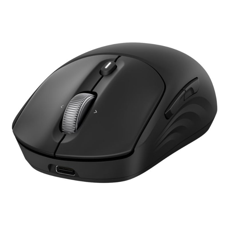 HP 705 Mouse ricaricabile