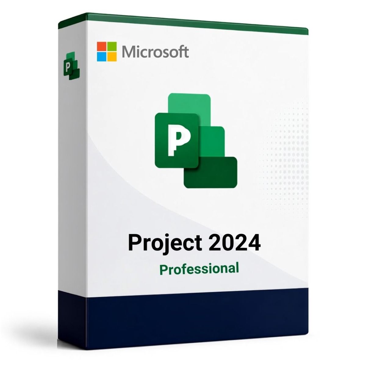 Microsoft Project Professional 2024 per PC