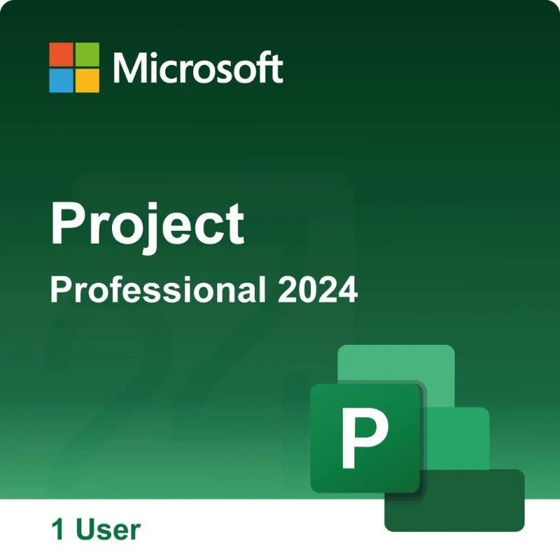 Microsoft Project 2024