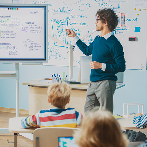 Educazione: Scuole e università 