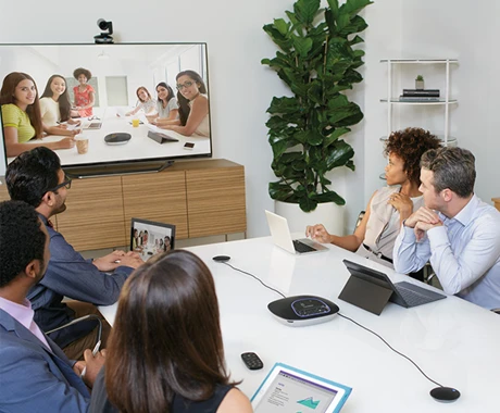 Microfoni di espansione