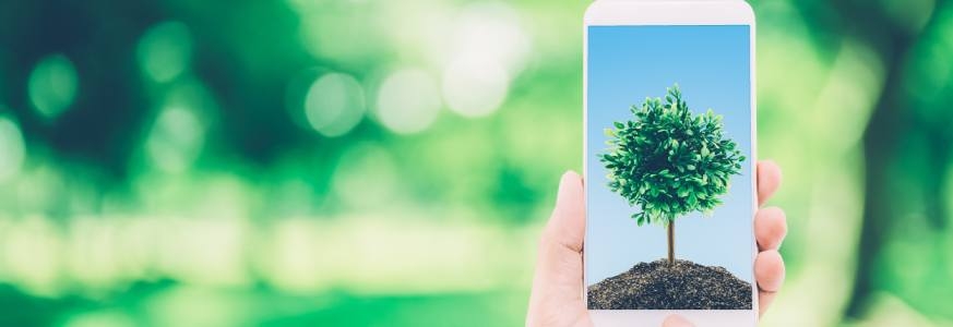SMARTPHONE RICONDIZIONATI SMARTPHONE RICONDIZIONATI
