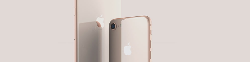 APPLE APPLE